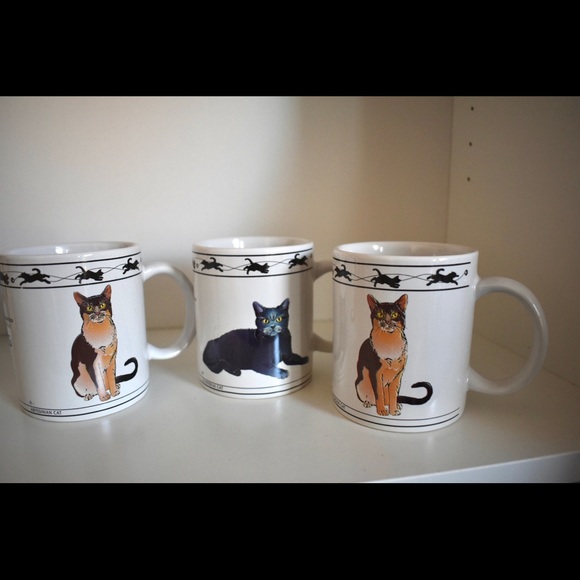 Cat Mugs Set Of 3 Chartreux Turkish Van Brown - Picture 1 of 8